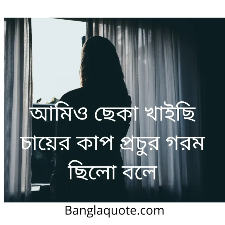 Attitude Status in Bengali for Girl