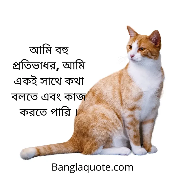 Personal Attitude Attitude Status Bangla