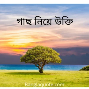 গাছ নিয়ে উক্তি