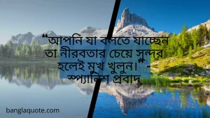 নীরবতা নিয়ে কিছু উক্তি