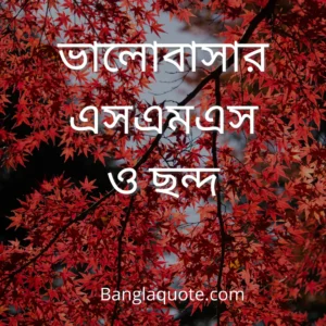 ভালোবাসার এসএমএস ও ছন্দ