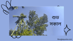 শুভ সকাল পিক