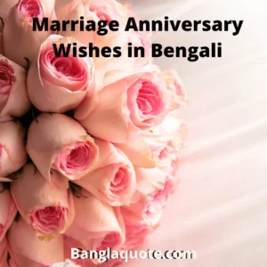 Marriage Anniversary Wishes in Bengali
