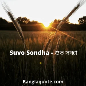 Suvo Sondha pic