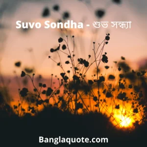 Suvo Sondha - শুভ সন্ধ্যা পিক